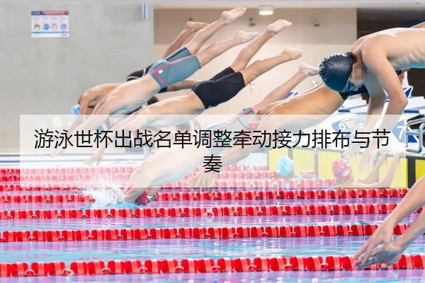 游泳世杯出战名单调整牵动接力排布与节奏